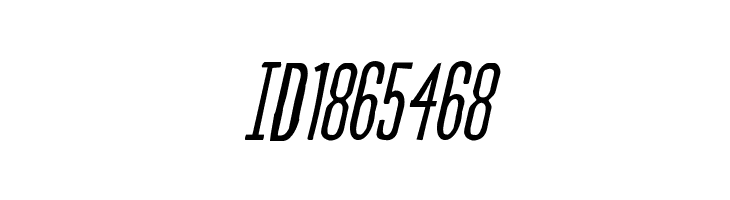 Slasher Film Rough Italic  Free Fonts Download