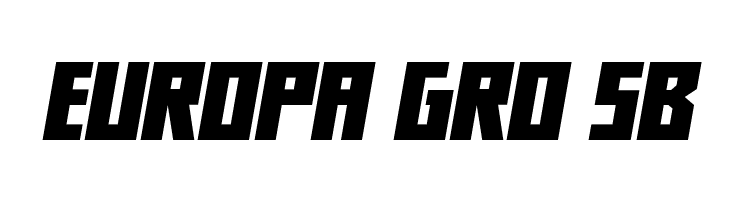 Her Champions Wide Italic  Free Fonts Download