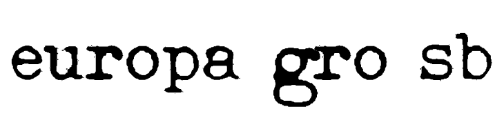 Esat Hoxha NRML  Free Fonts Download