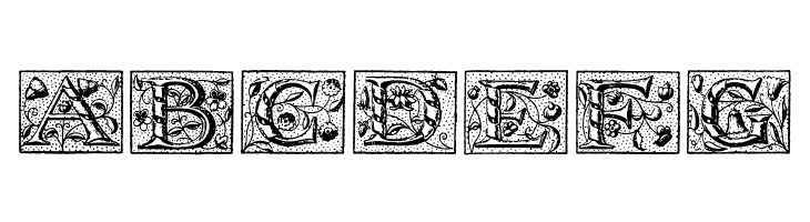 WolnoughCapitals  Free Fonts Download