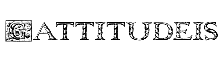 WolnoughCapitals  Free Fonts Download