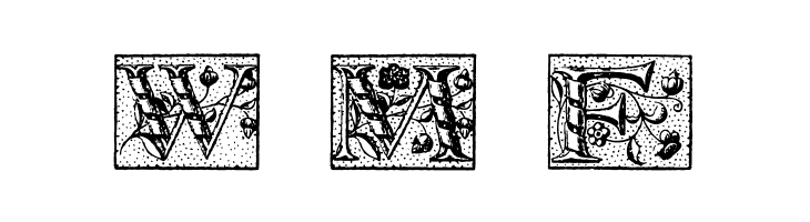 WolnoughCapitals  Free Fonts Download