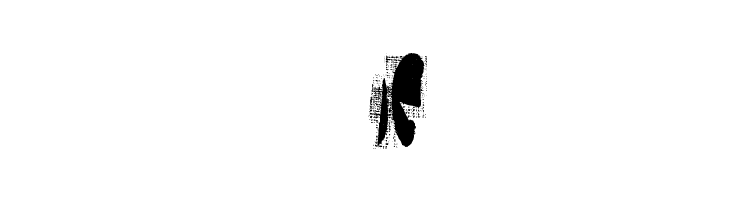 moskito screen  Free Fonts Download