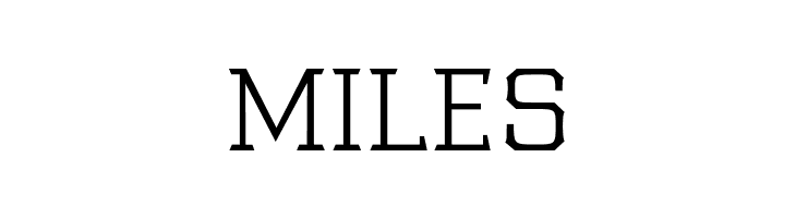 Samton Light  Free Fonts Download