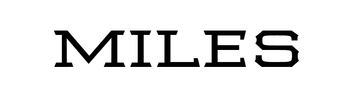 Samton Extra Extended  Free Fonts Download