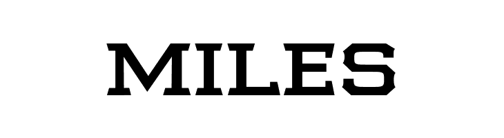 Samton Extended Bold  Free Fonts Download