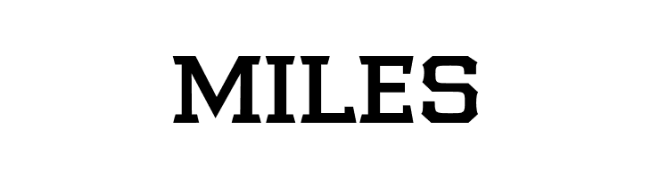 Samton Bold  Free Fonts Download