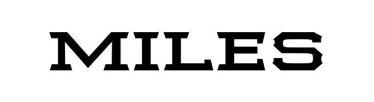 Samton Extra Extended Bold  Free Fonts Download