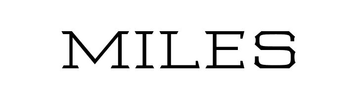 Samton Extra Extended Light  Free Fonts Download