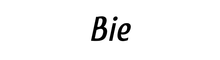 AmroSans-Italic  Free Fonts Download