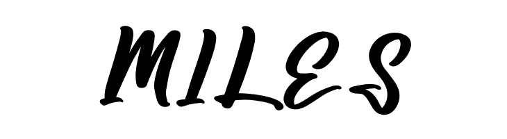 Amsterdam Jungleria  Free Fonts Download