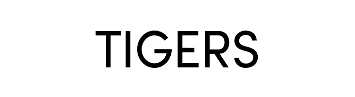 Brutel Medium  Free Fonts Download