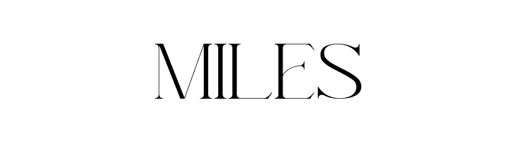 AramezaDemo-Regular  Free Fonts Download