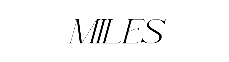 AramezaDemo-Italic  Free Fonts Download