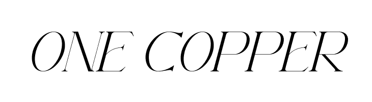 AramezaDemo-Italic  Free Fonts Download