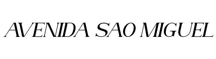 AnteCfSerifDemo-Italic  Free Fonts Download