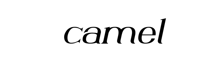 AnteCfSerifDemo-Italic  Free Fonts Download