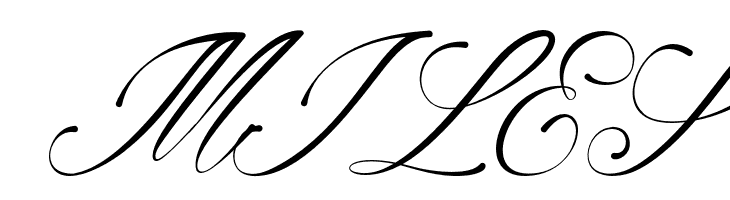 Alviyanidemo-Regular  Free Fonts Download