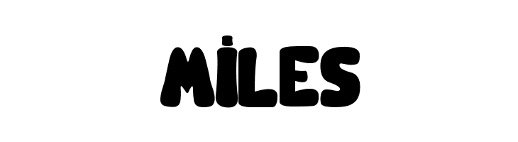 BOLDITA  Free Fonts Download