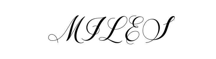 Shailena  Free Fonts Download