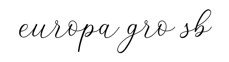 Lizelie  Free Fonts Download