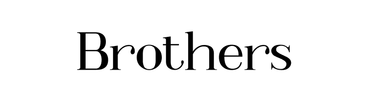 Metafiz Regular  Free Fonts Download