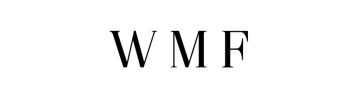 Metafiz Regular  Free Fonts Download