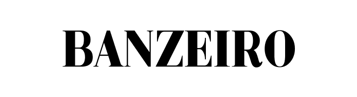 Metafiz Bold  Free Fonts Download