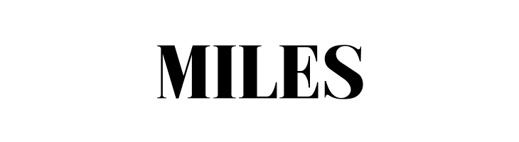 Metafiz Bold  Free Fonts Download