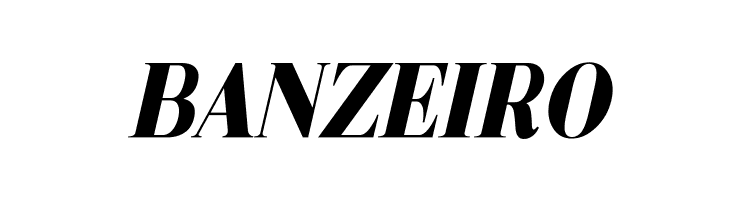 Metafiz Bold Italic  Free Fonts Download