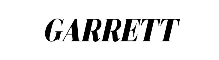 Metafiz Bold Italic  Free Fonts Download