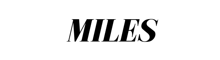 Metafiz Bold Italic  Free Fonts Download