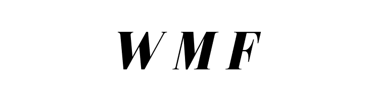 Metafiz Bold Italic  Free Fonts Download