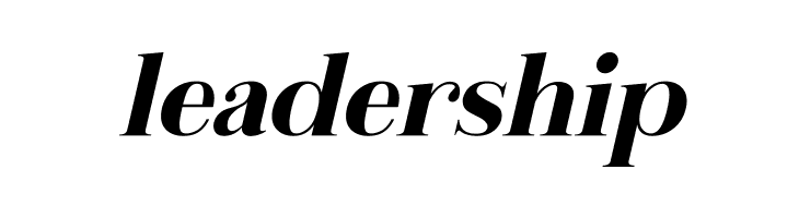 Metafiz Bold Italic  Free Fonts Download