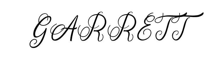 Aromatic Ginger  Free Fonts Download