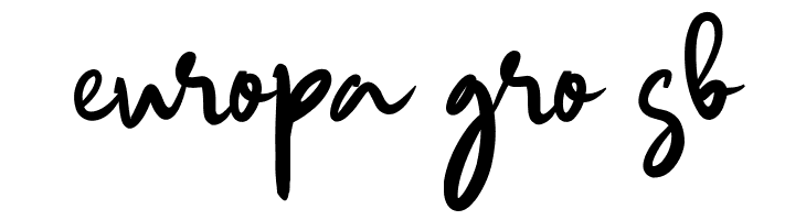 Windmill Script  Free Fonts Download