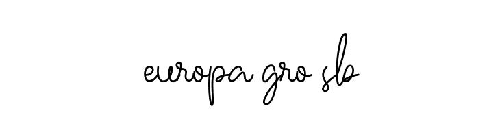 Ballerin  Free Fonts Download