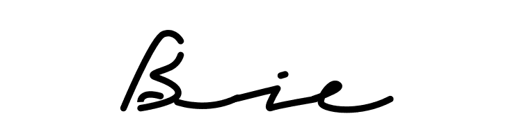Carefour Bold  Free Fonts Download