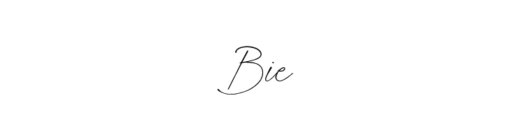 FallenJones  Free Fonts Download