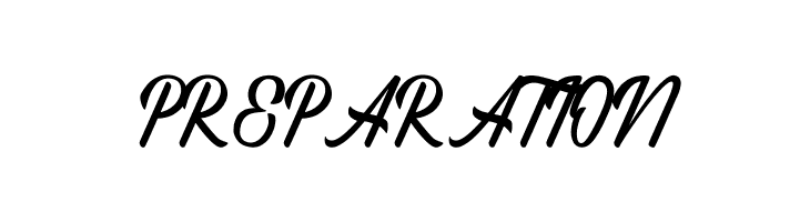 Regina Script  Free Fonts Download