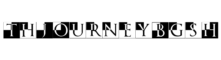 TrajanusBricksXtra  Free Fonts Download