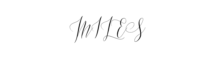 Masturascript  Free Fonts Download