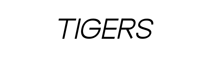 BrandingPro-LightItalic  Free Fonts Download