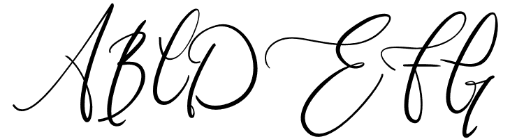 wandita  Free Fonts Download