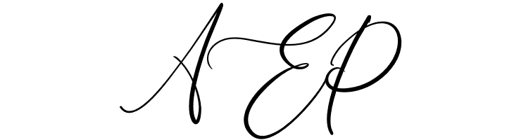 wandita  Free Fonts Download