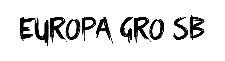 Time Stop Personal Use  Free Fonts Download