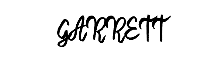 Awaker Shaker  Free Fonts Download