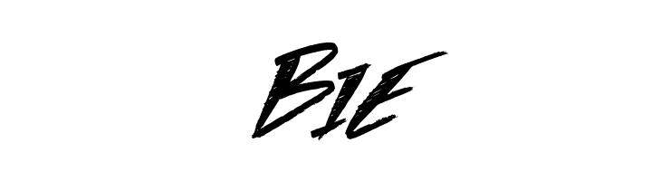 Seasons  Free Fonts Download