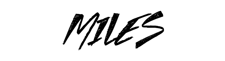 Seasons  Free Fonts Download