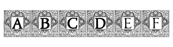 Topiary_Initials  Free Fonts Download